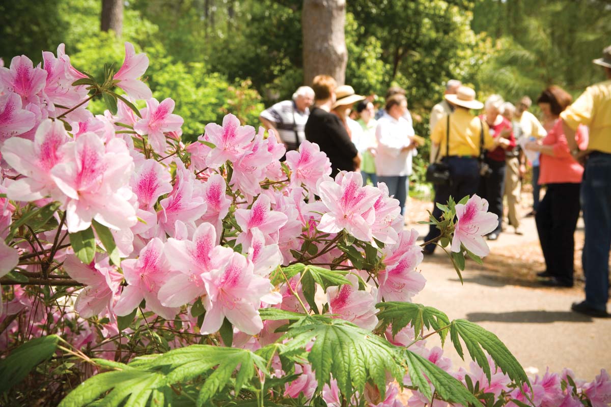 Nacogdoches is the Garden Capital of Texas and has many acres of beautiful gardens to explore. 